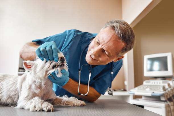 Best Emergency Root Canal Treatment in Tazewell, VA